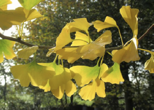 Gerhard Strahlendorf und Manon Zankl im Interview 